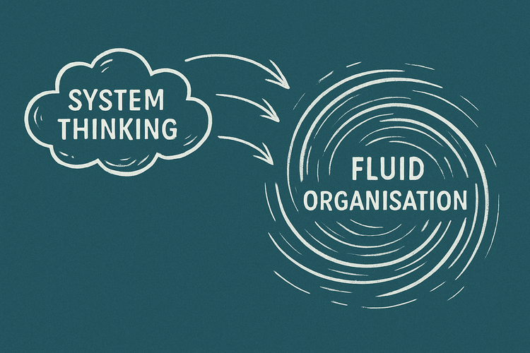 Systems Thinking in the Fluid Organisation