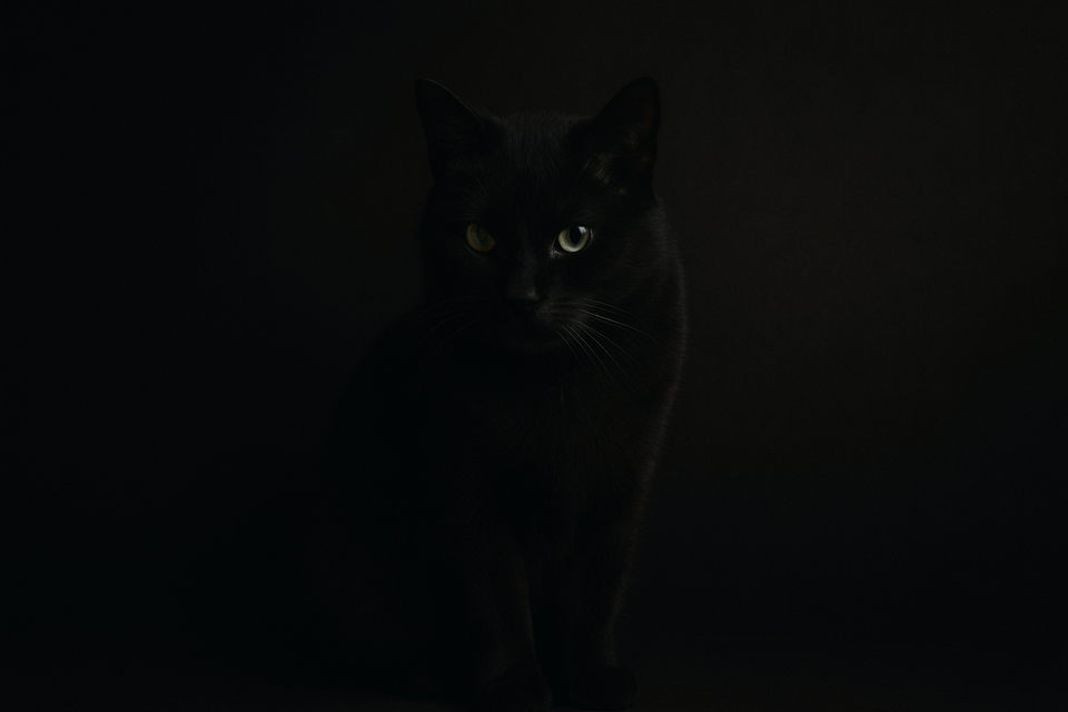 The Day I Stopped Lowering the Bar for Anyone